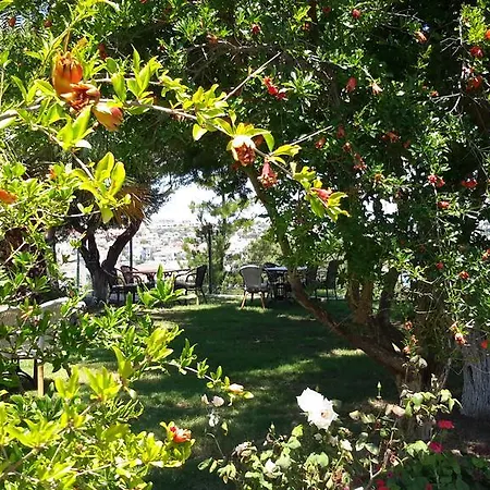 Dalyan Kucuk Ev Butik Bed & Breakfast *