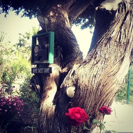 Dalyan Kucuk Ev Butik * Cesme