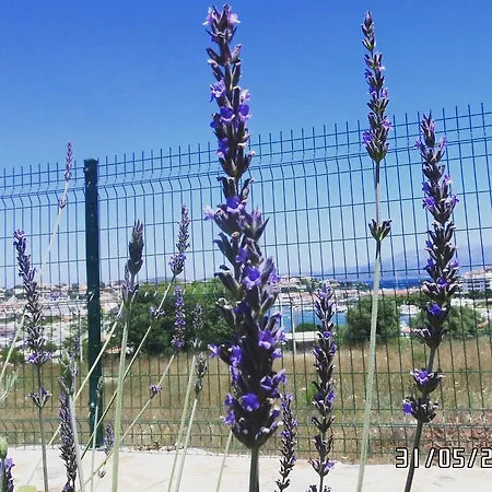 Dalyan Kucuk Ev Butik Bed & Breakfast *