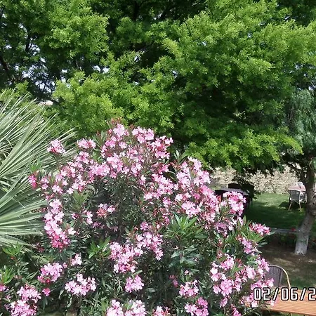 Dalyan Kucuk Ev Butik Cesme