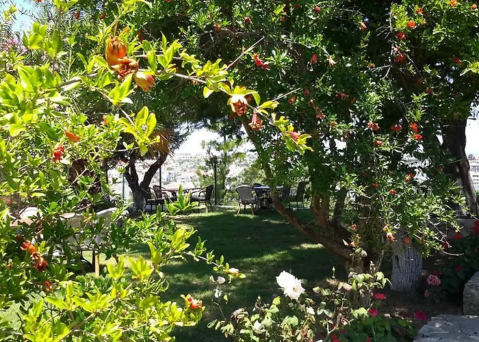 Dalyan Kucuk Ev Butik Bed & Breakfast *