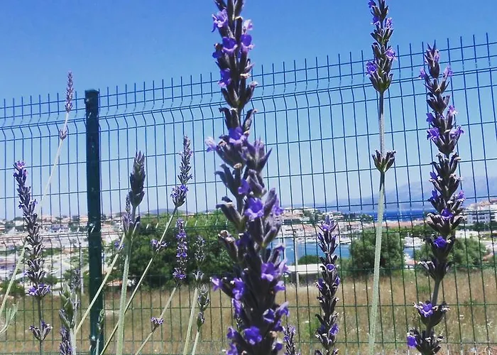 Dalyan Kucuk Ev Butik Bed & Breakfast *